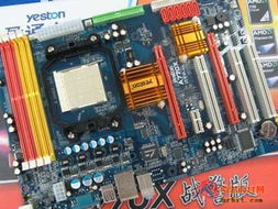 盈通A770X战警主板 399元超高性价比，交火技术加持，入门装机新选择